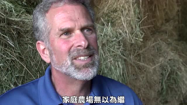 廉价肉品背后的可怕真相