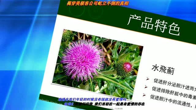 揭穿美极客公司屹立不倒的真相 腾讯视频