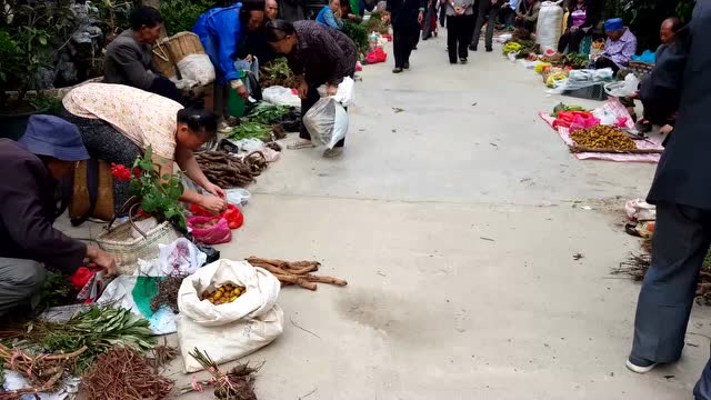 实拍安顺新花鸟市场:人潮如织,车如流水