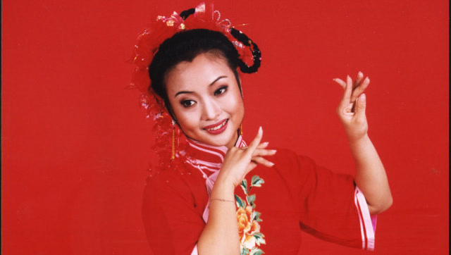 豫剧小皇后王红丽《涅记》选段2