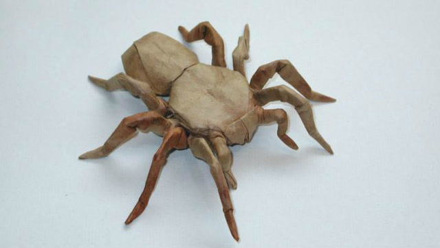 折纸王子教你罗伯特朗狼蛛折纸7-15步视频教程