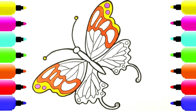 美丽的蝴蝶画画图片图片