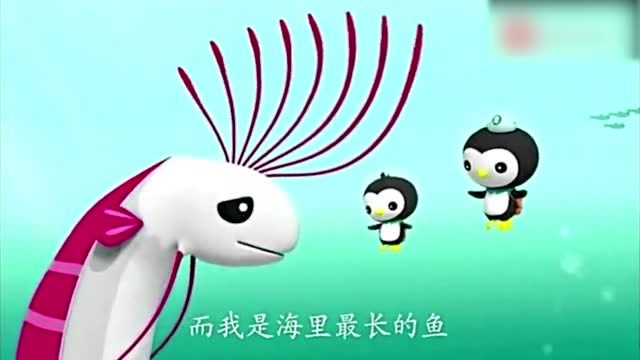 海底小纵队:皇带鱼是海里最长的鱼,皮医生帮助它治疗喉咙!