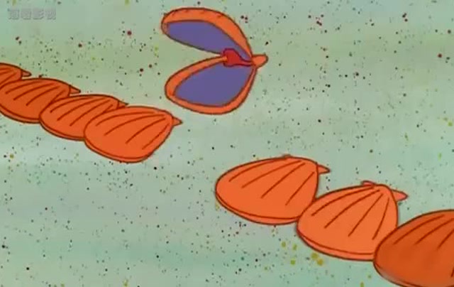 海绵宝宝:这些小贝壳看起来很漂亮,你们喜欢吗