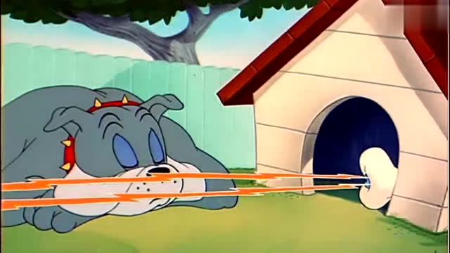 猫和老鼠:杰瑞鼠复仇记!杰瑞鼠整蛊不断,汤姆猫一脸生无可恋