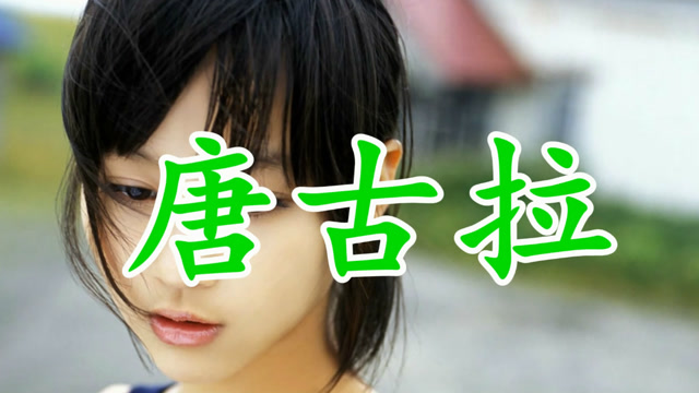 dj版  - 唐古拉 - dj何鹏,王麟