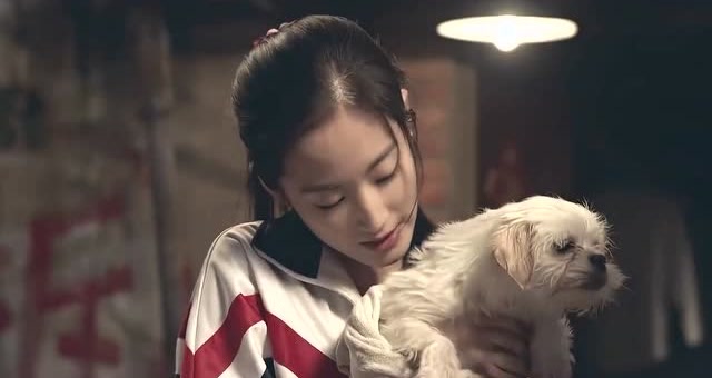 《回家的路有多远》32 小小收养小宠物,亚莉悉心照顾小宠物!