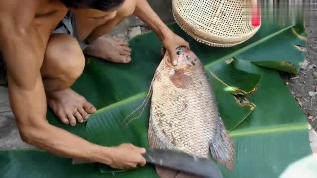 同鱼不同命:我们的观赏鱼,人家的食用鱼