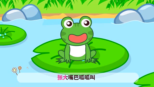 起司公主  小青蛙张大嘴巴呱呱叫