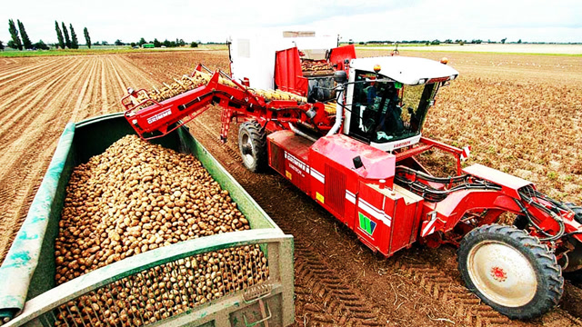 看到这个机械小编想回家种土豆啦!自走式马土豆收割机,长得像坦克