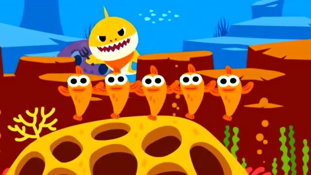 碰碰狐鲨鱼家族 大鲨鱼一家抓捕小鱼