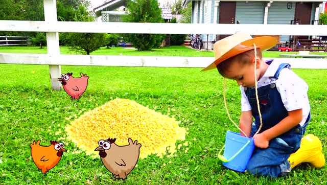 小朋友给小牛喂草,给小鸡喂饲料