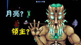 天铭 泰拉瑞亚 仙人掌MOD 59 最强舞者，月亮领主！
