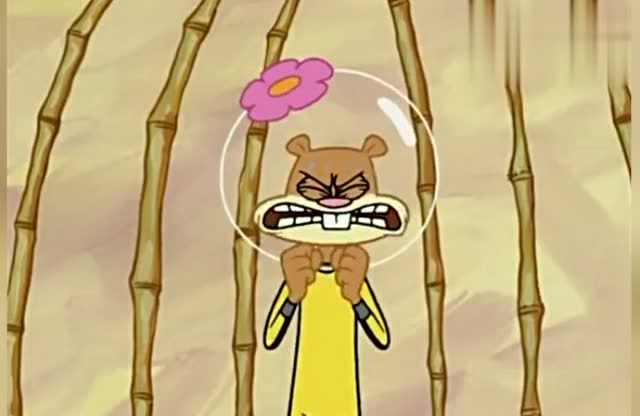 没想到珊迪还是一个肌肉王,真是太魁梧了