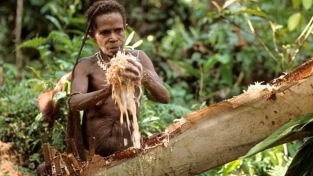 印度科罗威人,曾被外界认为是"食人族"?