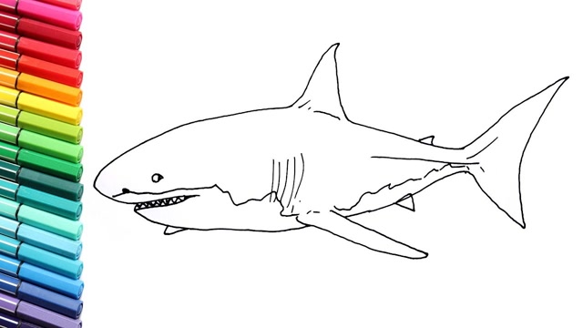 鲸鲨的简笔画图片