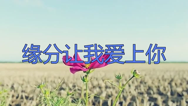 看谢军唱起缘分让我爱上你,回忆满满,怎么听都听不够