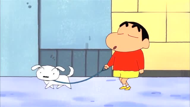 蜡笔小新:小新带小白散步,小白没嘘嘘完就被拖走!