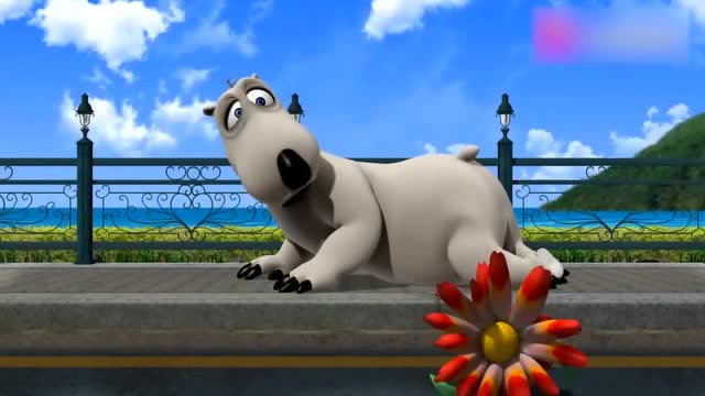 爆笑倒霉熊跟花盆较上劲,竟然让自己受伤了