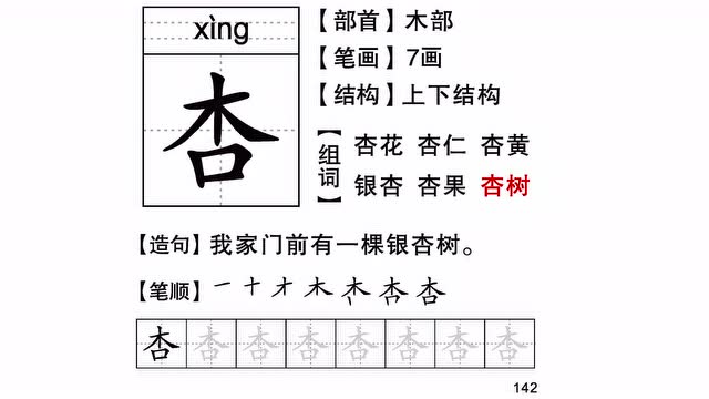 幼小衔接 一年级(上)同步识字卡-杏-142