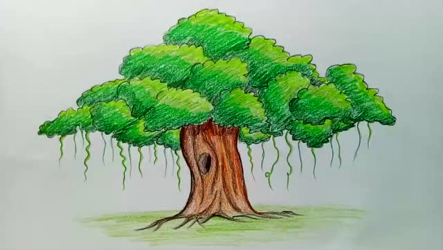 非常容易学的铅笔绘画,教你如何逐步绘制榕树