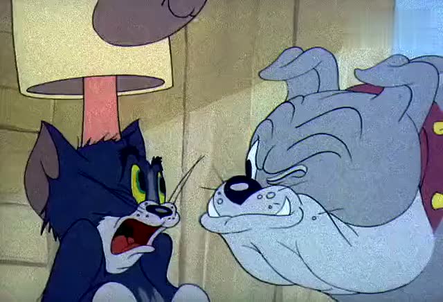 猫和老鼠:tom追着jerry到了这里,结果tom狼狈的跑了出来