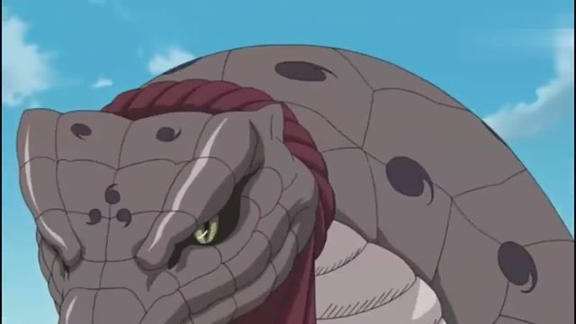 大蛇丸通灵的蛇脖子下面为什么有块红布,是吃饭使用的?