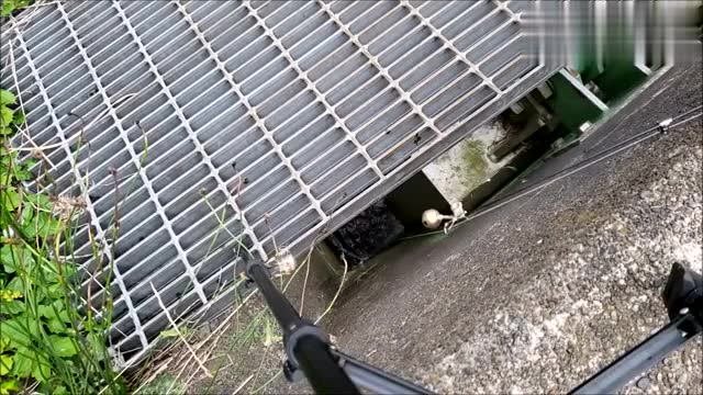 好奇韩国小伙在这下水道钓一杆,结果钓获这家伙,这也太乱入了吧