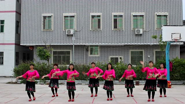金厢镇下蕉园村广场舞团队"许你一世情缘