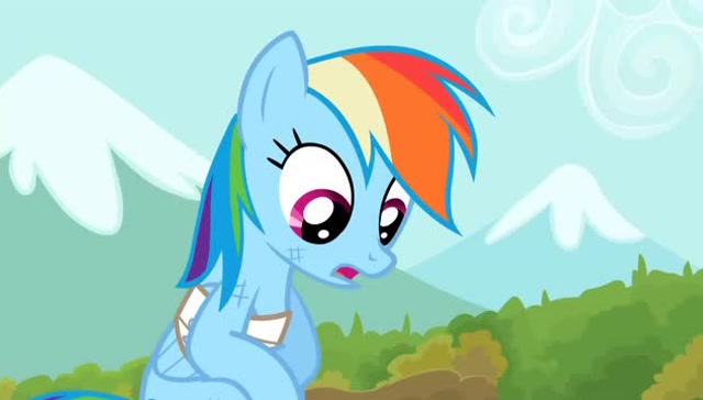 陆龟背着受伤的云宝回来了,云宝有了新的宠物,大家很高兴