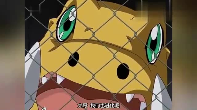 进化后的黄蜂兽竟然这么强,秒杀向日葵兽,最后还得靠亚古兽解决