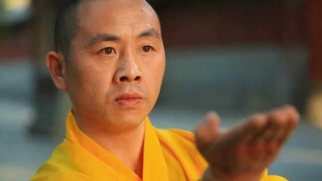 少林高僧露绝技,震撼六国特种兵,中国武术博大精深