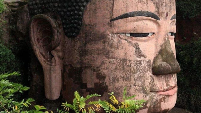 乐山大佛逢灾"流泪",专家直言"佛祖转世"并非迷信,网友:暗藏玄机!