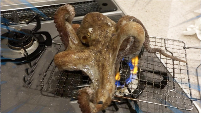 日本小伙黑暗料理新高度,竟用炭烤活章鱼,看着背后一凉!