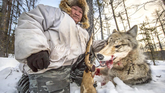 狩猎土狼,猎人们结伴同行,完美配合可以让狼群全军覆没!