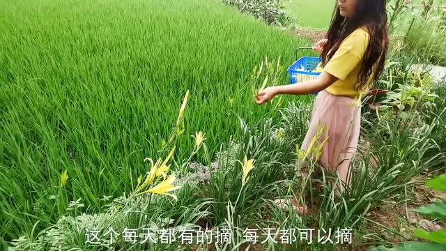 农村的美味实在是太多了,小杨满载而归,篮子都装不下了