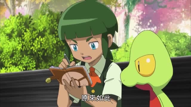 精灵宝可梦玛绣和小智的对战要开始了翔太好像很紧张的样子