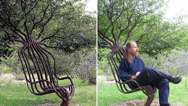 大叔花费十年时间,从地下种出来400把椅子,土豪出25万购买