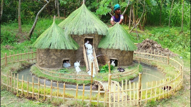 疯狂原始人探秘:漂亮的兔子小屋