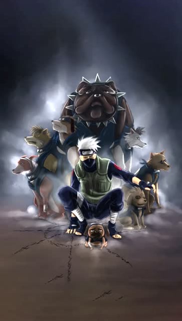 火影忍者:卡卡西的八忍犬分别叫什么还记得吗?