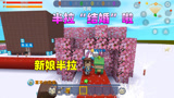 迷你世界：半拉要结婚？对象却是小粉丝，还接受了520的情书