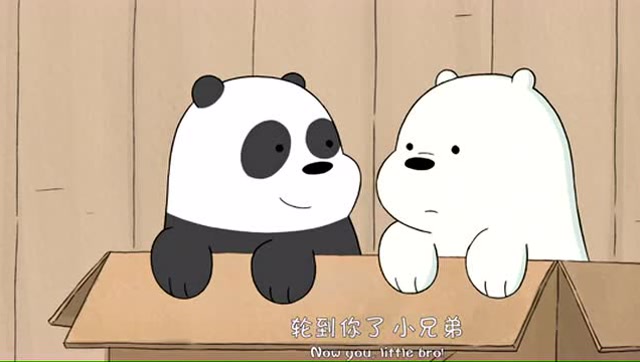 白熊×胖达cp图片