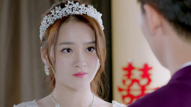 神犬小七:灰姑娘穿上婚纱,要和总裁结婚,哪料因为一条狗分手了