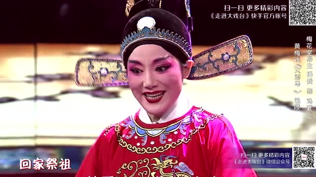 黄梅戏杨俊《女驸马》