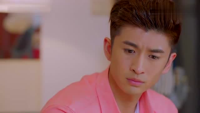 神犬小七2:欧叶深情告白,谁料鲍宇狗语十级,竟能听懂小七说话