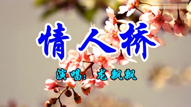 经典情歌,龙飘飘一首《情人桥》好听至极