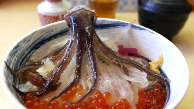 日本人吃鱿鱼比韩国人更让人佩服,快刀生切,活鱿鱼秒变刺身!