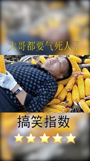 大哥这个人生巅峰