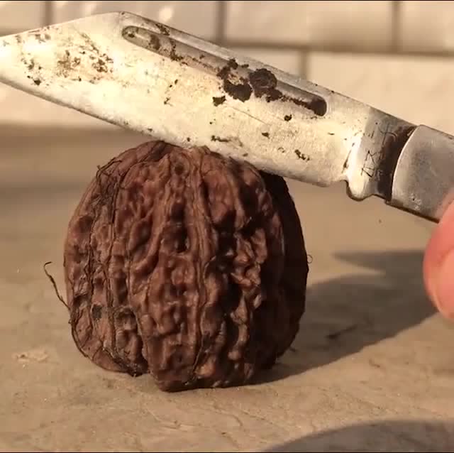 这是一个残次品的文玩核桃,砸开之后,没想到里面是这样的!