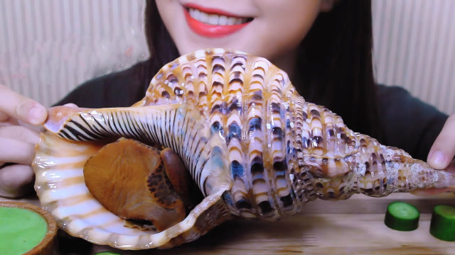 一只巨型海蜗牛,韩国人煮一下做成刺身,壳还能做工艺品!